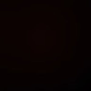 Meet your Posher, Brady